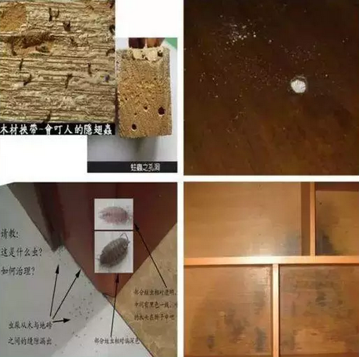 家具是鋁合金防蛀 家具是鋁合金防蛀